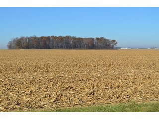 Tract 1 - FARMLAND AUCTION - 165.5+/- ACRES OFFERED IN 5 TRACTS OR COMBINATIONS IN EAST ALLEN COUNTY